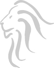 LEO-Sport